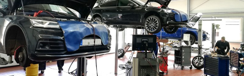 Spezialisierung auf Hausmarken